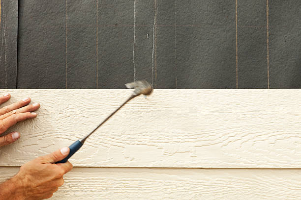 Best Siding Painting and Refinishing  in South Wilton, CT